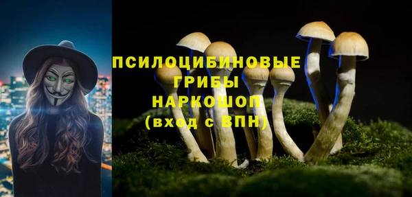 гидра Алзамай