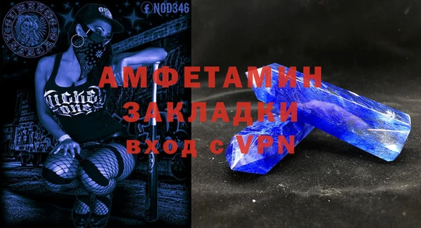мет Алексин