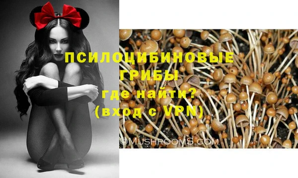 мет Алексин