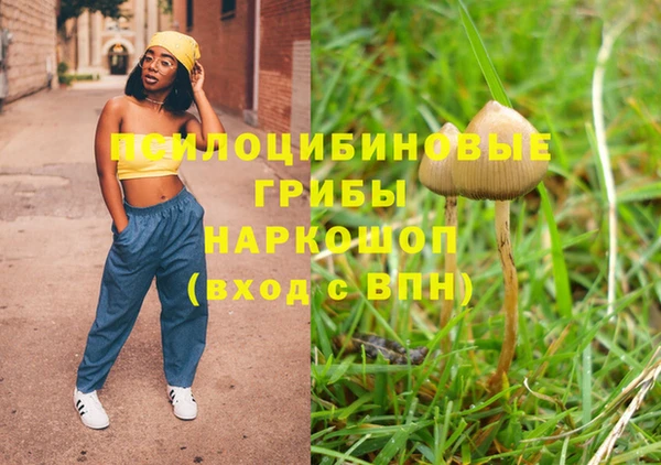 spice Алексеевка