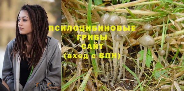 гидра Осинники