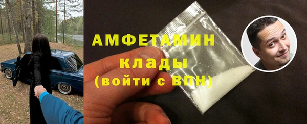 мет Алексин