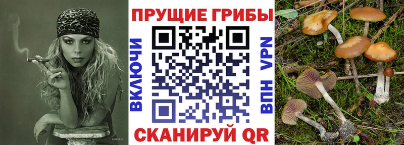 Псилоцибиновые грибы MAGIC MUSHROOMS  Оленегорск 